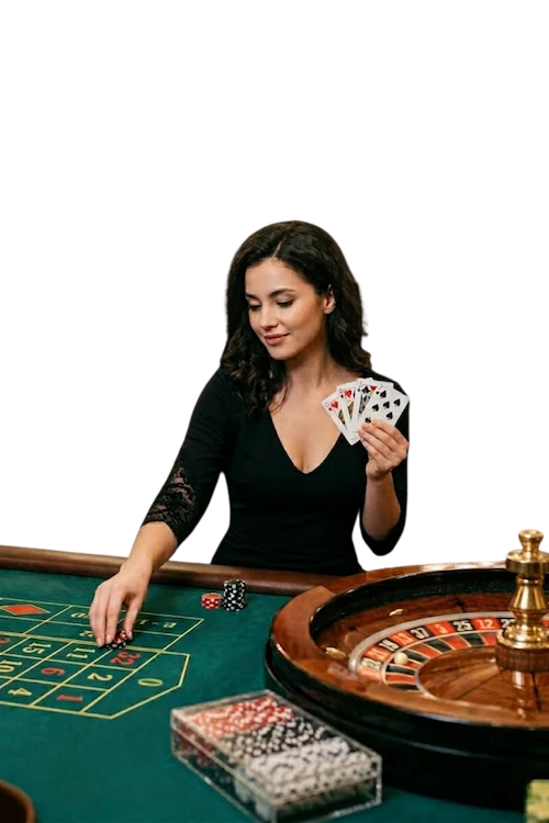 Terms and Conditions